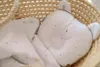 Muminky | Baby Kopfkissen - 23x27 cm - Füchse - Ergonomisch Produktbild-Vorschau 3