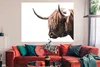 MuchoWow® Poster Schottischer Highlander - Kuh - Hoorn Produktbild-Vorschau 2