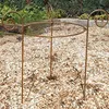 Staudenhalter 40 cm Pflanzenstütze aus 8 mm Volleisen – 80 Produktbild-Vorschau 1