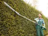 Heckenschneider mit langem Stiel 900W – Schnittlänge 41 cm, Produktbild-Vorschau 2