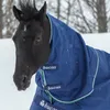 A black horse wearing a blue Bucas blanket in a snowy environment. Produktbild-Vorschau