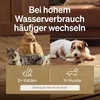 Filter Katzenbrunnen 8er Pack für Dockstream Trinkbrunnen Produktbild-Vorschau 6