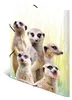 HERMA Eckspannermappe Exotische Tiere A4 Erdmännchentruppe Produktbild-Vorschau 2