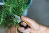 Fiskars Solid Kräuterschere SP220, Gartenschere, Produktbild-Vorschau 7