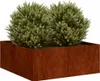 vidaXL Kvetináč Rusty 80x80x30 cm Oceľ odolná voči Náhľad obrázku produktu 3