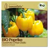 Samenliebe  Paprika Samen | Quadrato D'Asti Giallo - gelb & Produktbild-Vorschau 1