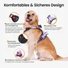 LED Hundegeschirr aufladbar reflektierend, verstellbar mit Produktbild-Vorschau 4