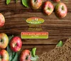 PINI Grillpellets № 9 Apfel 1,5 kg BBQ Hartholzpellets zum Produktbild-Vorschau 4