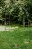 Arche de rosiers LENA 160 cm noir revêtu par poudre Voir les images du produit 16