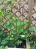 Set, 3 Stück, Gartenstab Schnecke, Rankstab, Produktbild-Vorschau 1