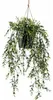 Emerald Kunstpflanze Buchsbaum Hängend in Topf 50 cm Produktbild-Vorschau 5