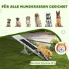 PawHut Honden wip, agility-element, houten wip voor puppy's Productafbeelding-voorbeeld 8