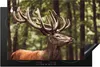 KitchenYeah© Herdabdeckplatte Hirsch - Natur - Geweih - Produktbild-Vorschau 1