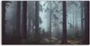 Coloray Acrylbild 120x60  Wandbild Acrylbilder Landschafts Produktbild-Vorschau 1