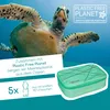 neoxx astuccio per matite Dunk Pencil Case Mint To Be menta Anteprima dell’immagine prodotto 6