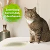 Bactador Enzymreiniger Katzenurin Spray 500ml - Katzenurin Produktbild-Vorschau 2