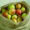 A burlap sack filled with apples. Produktbild-Vorschau