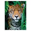 Clementoni puzzle 500 pezzi HQ Jaguar in the Jungle 35127 Anteprima dell’immagine prodotto 2
