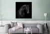 MuchoWow® Poster Pferd - Tier - Schwarz 75x75 cm - Wand Produktbild-Vorschau 5