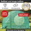 BRAST Gewächshaus Foliengewächshaus mit Stahlfundament | Produktbild-Vorschau 5