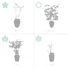 Bloomique - 2er Set - Salix Flamingo - Harlekinweide - Produktbild-Vorschau 5