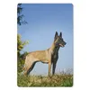 MuchoWow® Mauspad Mousepad Blauer Himmel über dem Produktbild-Vorschau 1