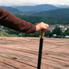 Edler Vintage Spazierstock aus Holz mit graviertem Produktbild-Vorschau 7