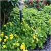 Plants by Frank | 60 Dreiblatt Golderdbeere Pflanzen | Produktbild-Vorschau 2