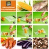 10x sacchetti sottovuoto per alimenti set di sacchetti Anteprima dell’immagine prodotto 5