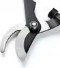 Forbici telescopiche 560-730 mm Polax Anteprima dell’immagine prodotto 5