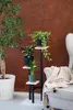 A plant stand with three potted plants next to a chair. Náhled obrázku produktu