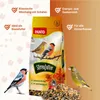 PANTO Streufutter – 20 kg Wildvogelfutter – Mischung mit Produktbild-Vorschau 2