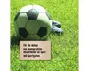 Sportrasen & Spielrasen FloraSelf Rasensamen 10 kg für 400 Produktbild-Vorschau 2