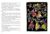Die kleine Hexe, kolorierte Ausgabe Produktbild-Vorschau 6