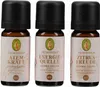 Primavera SET Aroma Sauna Frische & Energie 3x 10ml 1P PZN Produktbild-Vorschau 2