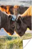 MuchoWow® Poster Schottische Highlander - Tiere - Sonne Produktbild-Vorschau 1