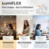 SSC-LUXon KOURA 4er Set Wandleuchten innen schwarz-gold Up Produktbild-Vorschau 6