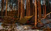 Bushmen Thermo Tarp / Telone 4x3 - Verde oliva Anteprima dell’immagine prodotto 4