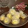 LED Lichterkette Rosen - 10 leuchtende Rosen - Timer - Produktbild-Vorschau 1