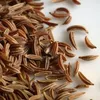 Kamelur® Bio Kümmel ganz 500 g Produktbild-Vorschau 6
