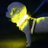 Collare luminoso a LED - regolabile Purlov 24200 Anteprima dell’immagine prodotto 9