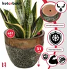 A snake plant in a decorative pot with marketing graphics highlighting features. Náhled obrázku produktu