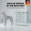 Foxdevil by xonic® Faltbare Hundebox / Katzenbox für Produktbild-Vorschau 2