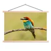 MuchoWow® Textilposter Vogel - Bienenfresser - Tiere 120x80 Produktbild-Vorschau 1