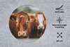 MuchoWow® Mauspad Mousepad Kühe - Gras - Zaun 20x20 cm - Produktbild-Vorschau 2