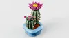 LEGO Botanicals Cactus florido 11509 Vista previa de la imagen del producto 31