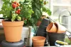 A collection of plant pots and a tomato plant in a greenhouse setting. Produktbild-Vorschau