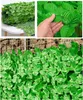 1m x 3m Balkon Hecken Künstliche Efeu Blatt Garten Produktbild-Vorschau 5