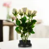 Schwarze runde Ikebana Kenzan Nadel Blumenstecknadel Produktbild-Vorschau 4