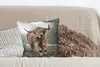 MuchoWow® Zierkissen Sofakissen Wohnzimmer Dekokissen 45x45 Produktbild-Vorschau 4